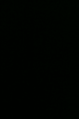 Admin Perpustakaan PSDKU UAB